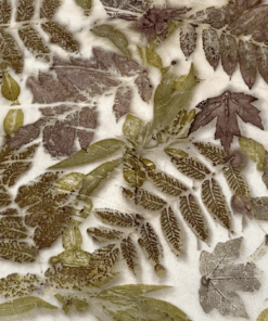 Botanical-Eco Printing Workshop (session 2)