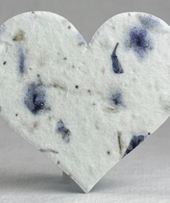 Make Your Own Seed Paper