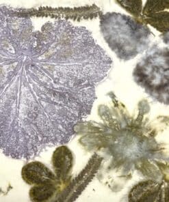 Botanical-Eco Printing Workshop